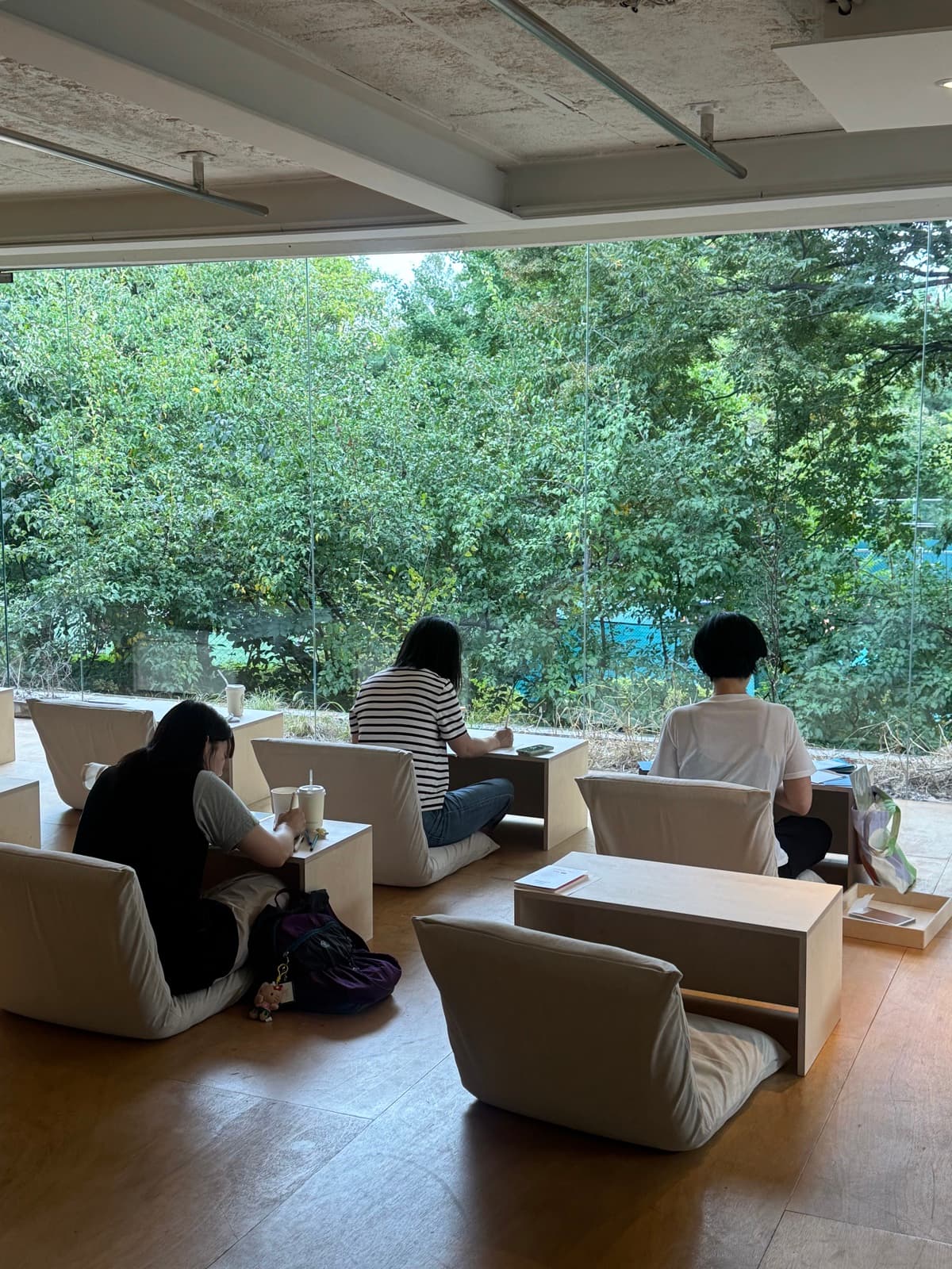 리추얼 숲 내부 — 창밖 숲을 마주 보고 기록하는 메이트들