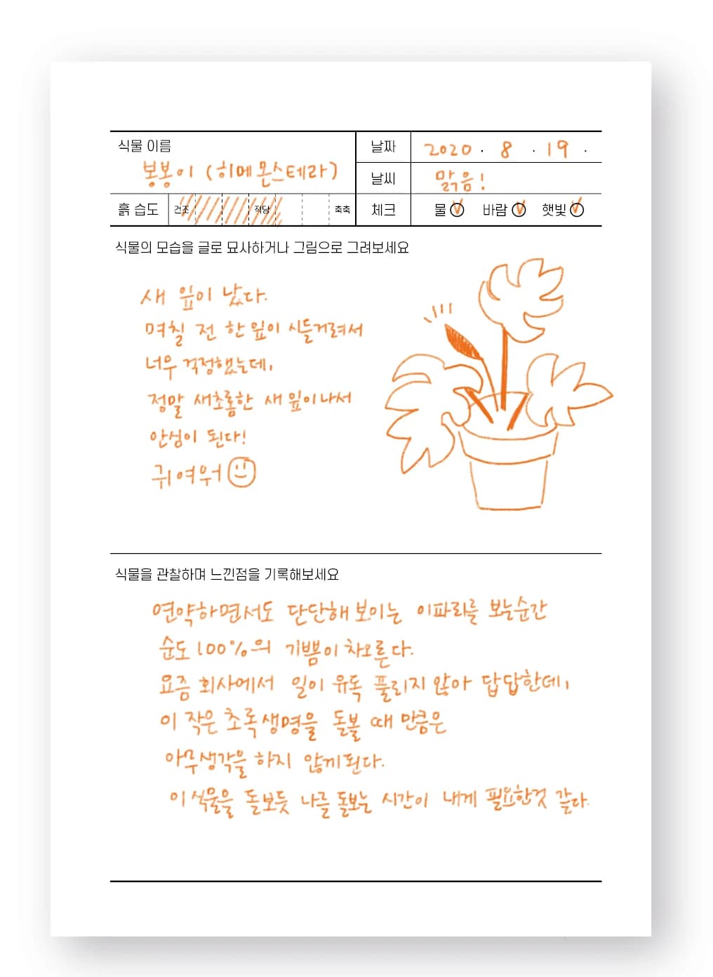 밑미 식물노트